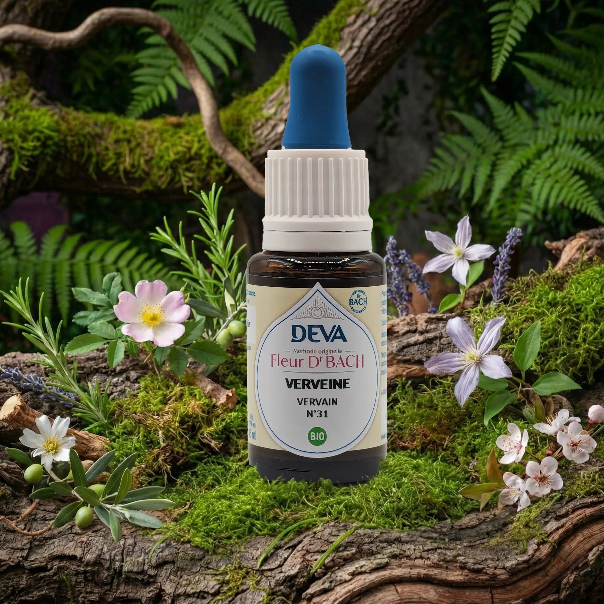Flacon compte-gouttes Deva - Fleur du Dr Bach - Verveine N.31 sur un lit de mousse et plantes sauvages