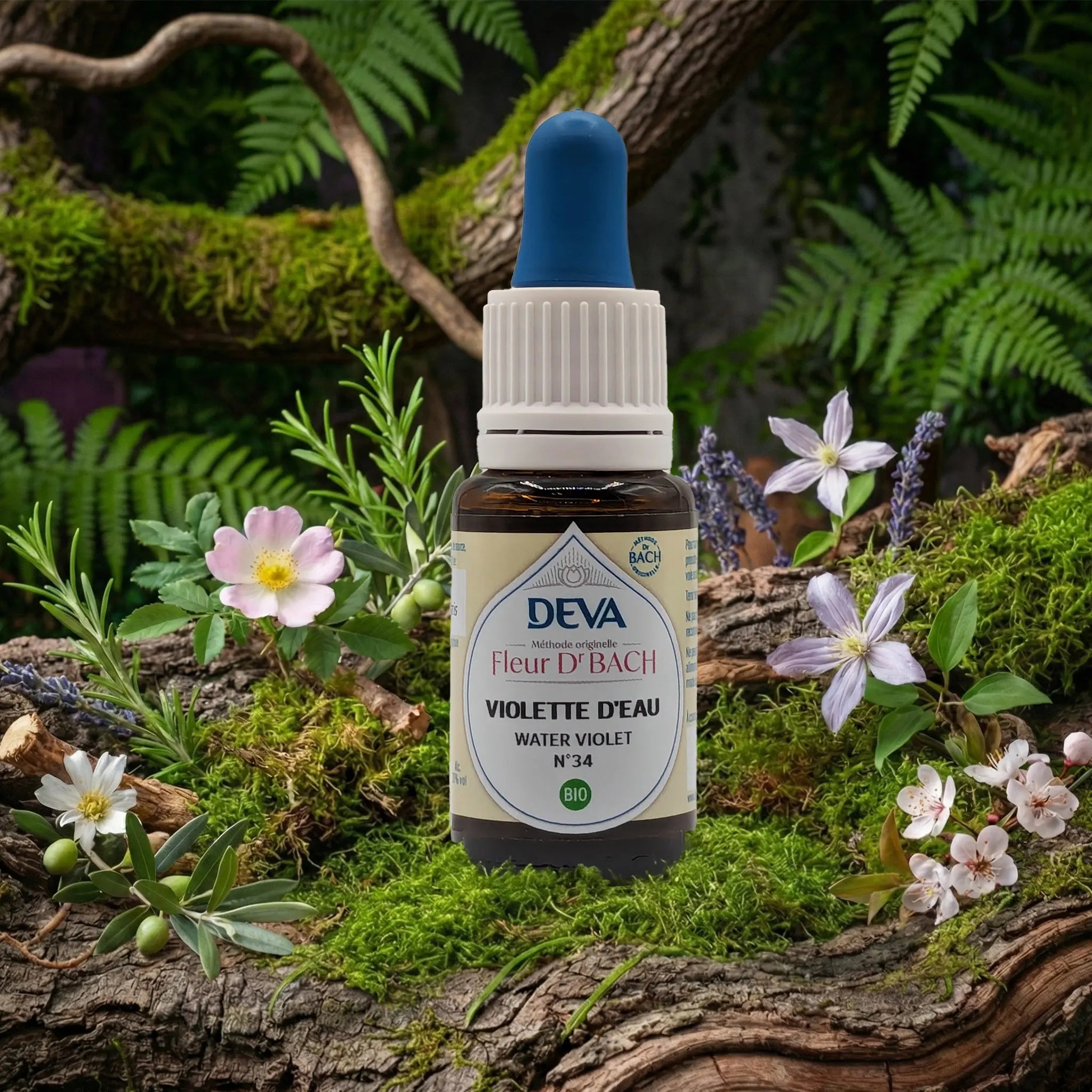 Flacon compte-gouttes Deva - Fleur du Dr Bach - Violette d'Eau N.34 sur un lit de mousse et plantes sauvages