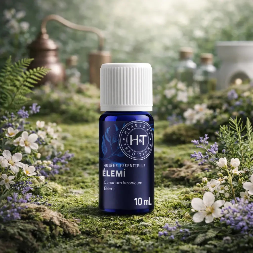 Flacon bleu d'huile essentielle d'Élémi Herbes et Traditions posé sur un tapis de mousse verte avec des fleurs blanches printanières et un alambic traditionnel.