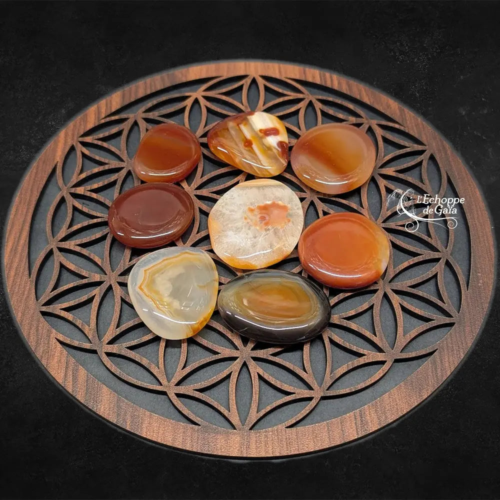 Une vue plongeante de plusieurs galets de cornaline polis, aux reflets translucides et couleurs terreuses, harmonieusement répartis sur un socle en bois gravé d'une fleur de vie.