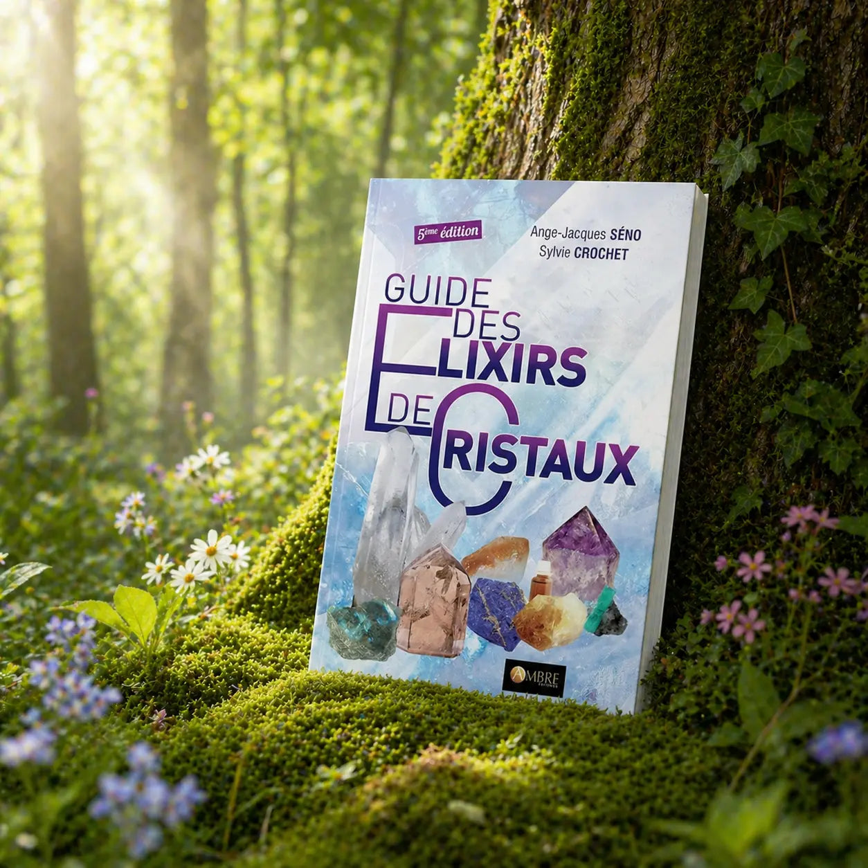 Livre blanc Guide des Elixirs de Cristaux de Ange-Jacques Séno et Sylvie Crochet illustré de cristaux bruts comme l'améthyste, le quartz et la citrine.
