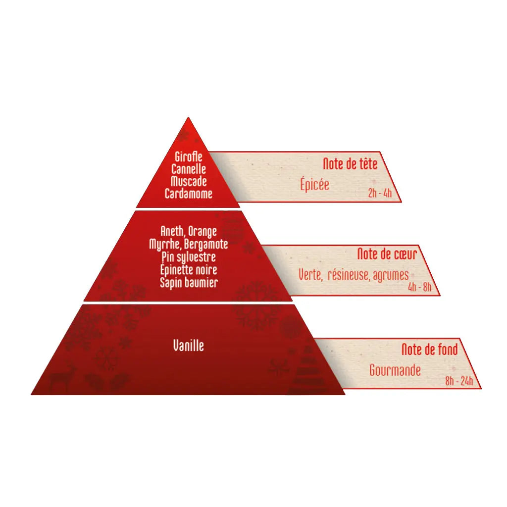 Pyramide olfactive détaillant les notes de tête épicées, les notes de cœur résineuses et la note de fond gourmande à la vanille d'une composition parfumée.