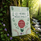 Livre Les Herbes Médicinales - Anne Kennedy sur mousse sacrée au pied d'un arbre, entouré de fleurs violettes sous des rayons de soleil magiques.