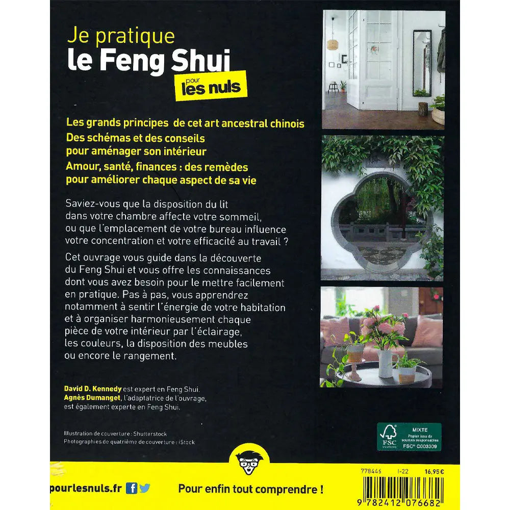 Je Pratique le Feng Shui pour les Nuls - David-Daniel Kennedy First Editions