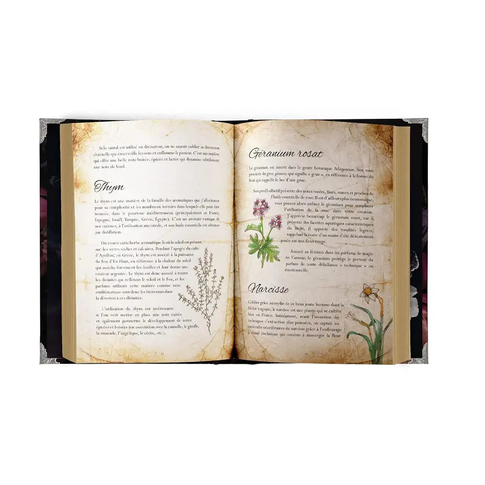 Double page illustrée du livre "L'Art de la Parfumerie Magique" détaillant les propriétés aromatiques et magiques du Thym, du Géranium rosat et de la Narcisse.