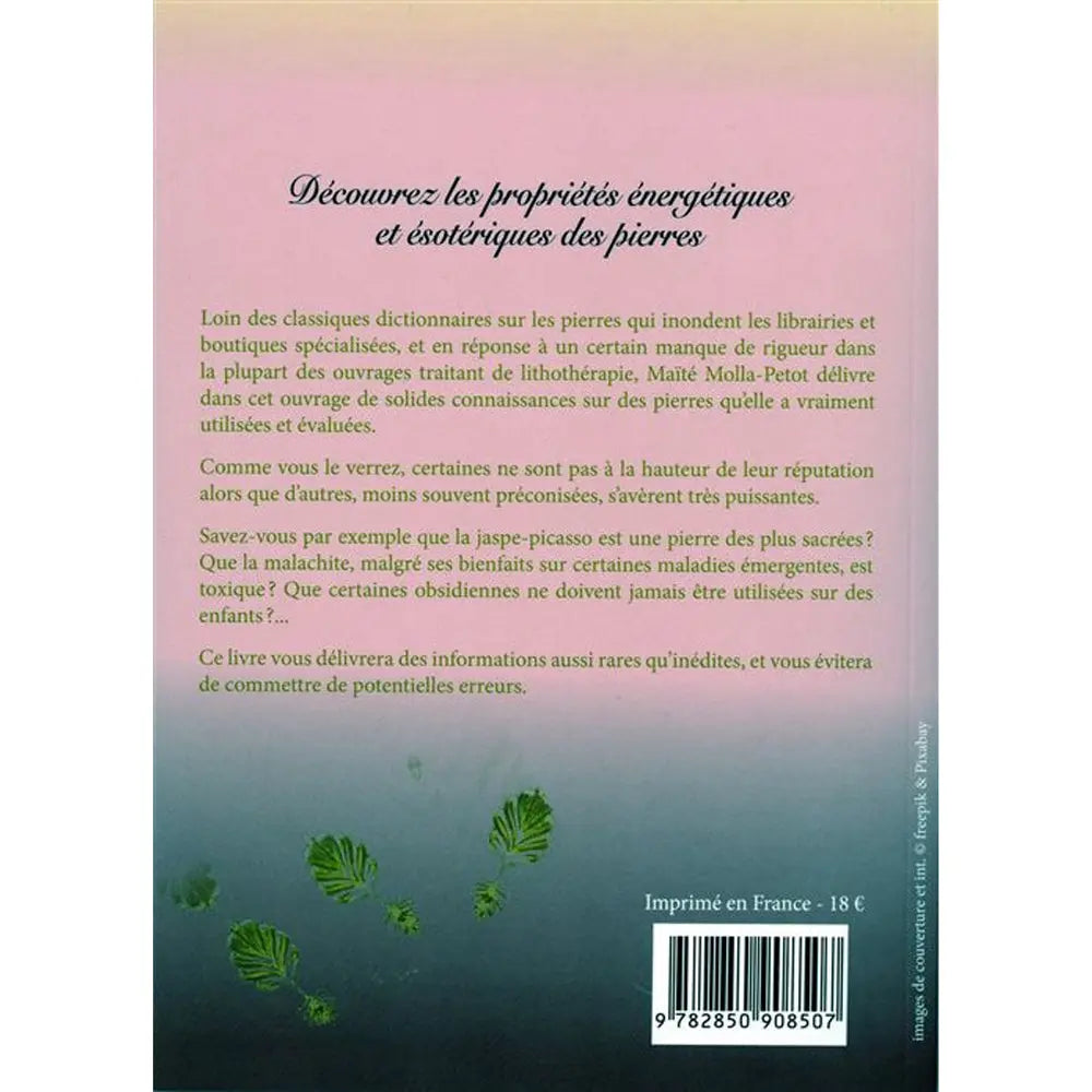 Quatrième de couverture du livre "La Puissance des Pierres", présentant un texte de présentation sur un dégradé rose et bleu avec un code-barres en bas à droite.