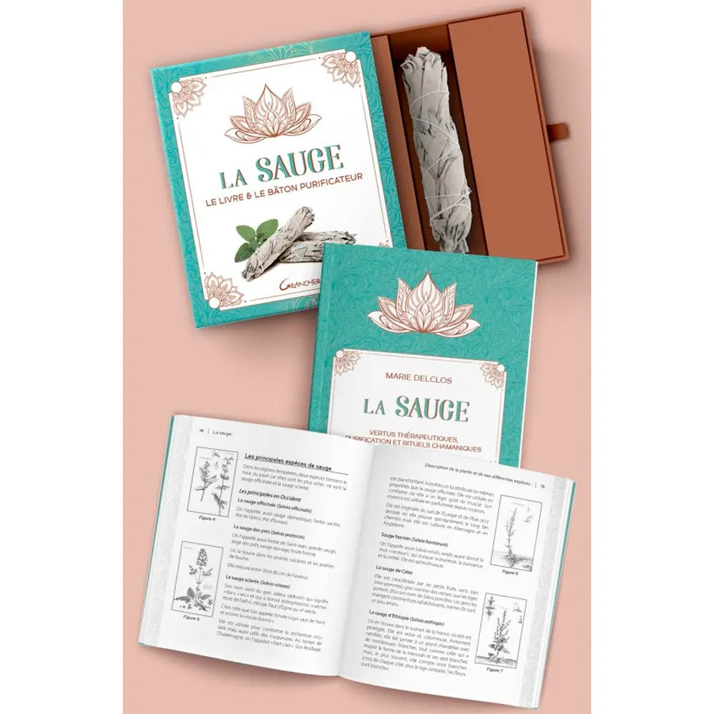 La Sauge - Le livre & le bâton purificateur de Marie Delclos, illustré par le contenu du coffret ouvert : son livre de référence, un guide pratique illustré et un véritable bâton de sauge blanche.