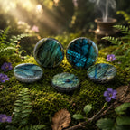 Demi-sphères de labradorite de type Ema Egg, révélant une face plane polie aux reflets magiques bleus et verts intenses et une face bombée brute, sur de la mousse forestière fleurie.