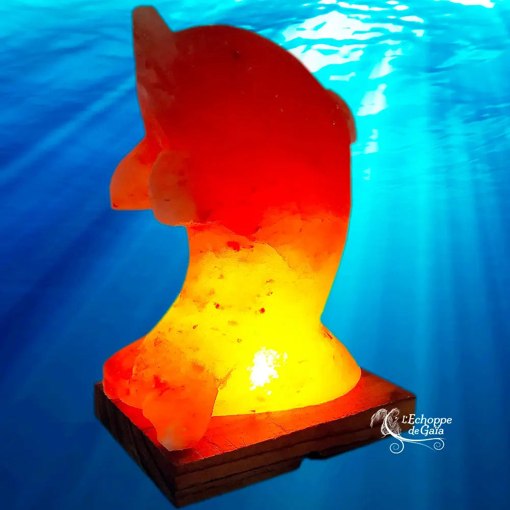 Lampe de sel rose sculptée en forme de dauphin allumée sur socle en bois avec fond bleu aquatique