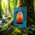 Livre Les Lampes en cristal de sel - J-Paul Jacquemet sur mousse sacrée au pied d'un arbre, entouré de fleurs violettes sous des rayons de soleil magiques.
