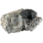 Larme d'Apache sur Gangue, illustré par un nodule d'obsidienne noire de forme sphérique, contrastant fortement avec sa gangue de roche volcanique gris clair et translucide par endroits.