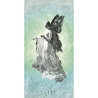 Le Mystèrieux Labyrinthe - 63 Cartes - Anais Cetown Editions Vega