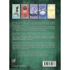 Le Mystèrieux Labyrinthe - 63 Cartes - Anais Cetown Editions Vega
