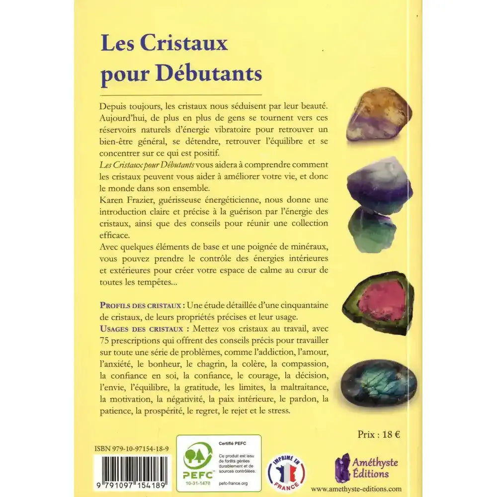 Les Cristaux pour Débutants de Karen Frazier, sa quatrième de couverture présentant le résumé textuel bordé par une colonne de minéraux bruts sur fond jaune clair.