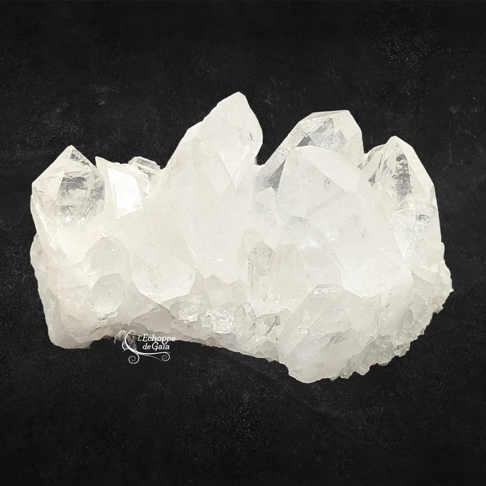 Amas de cristal de roche quartz blanc aux grandes pointes pyramidales translucides sur fond noir.