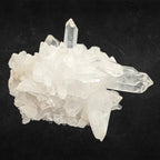 Amas de cristal de roche quartz avec plusieurs pointes prismatiques transparentes sur un fond noir uni.