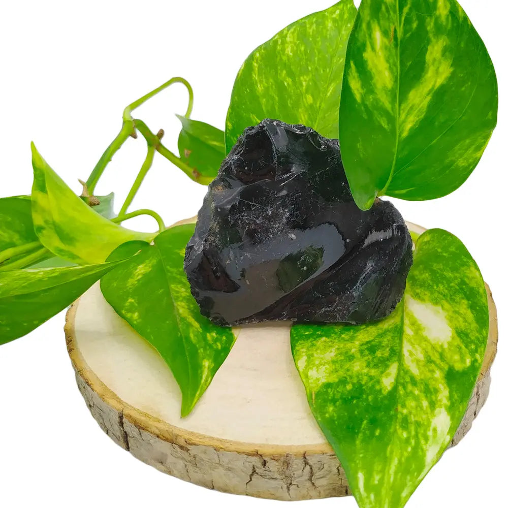 Pierre d'obsidienne noire brute aux éclats vitreux et sombres, posée sur une tranche de bois naturel et entourée de feuilles de lierre panachées vert et jaune sur fond blanc.