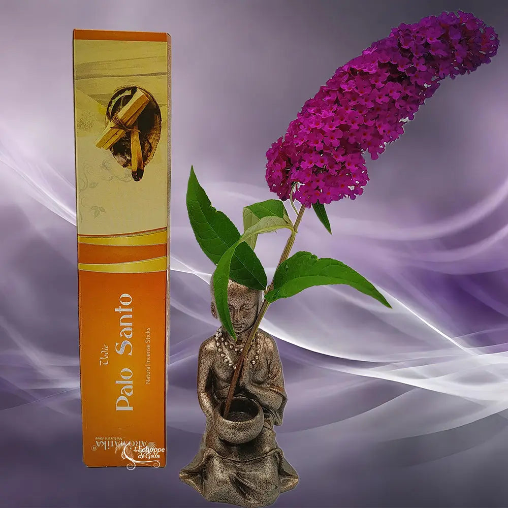 Boîte d'encens naturel Vedic Pontifical dorée Oliban et Vanille avec statuette de moine et fleur violette sur fond mauve