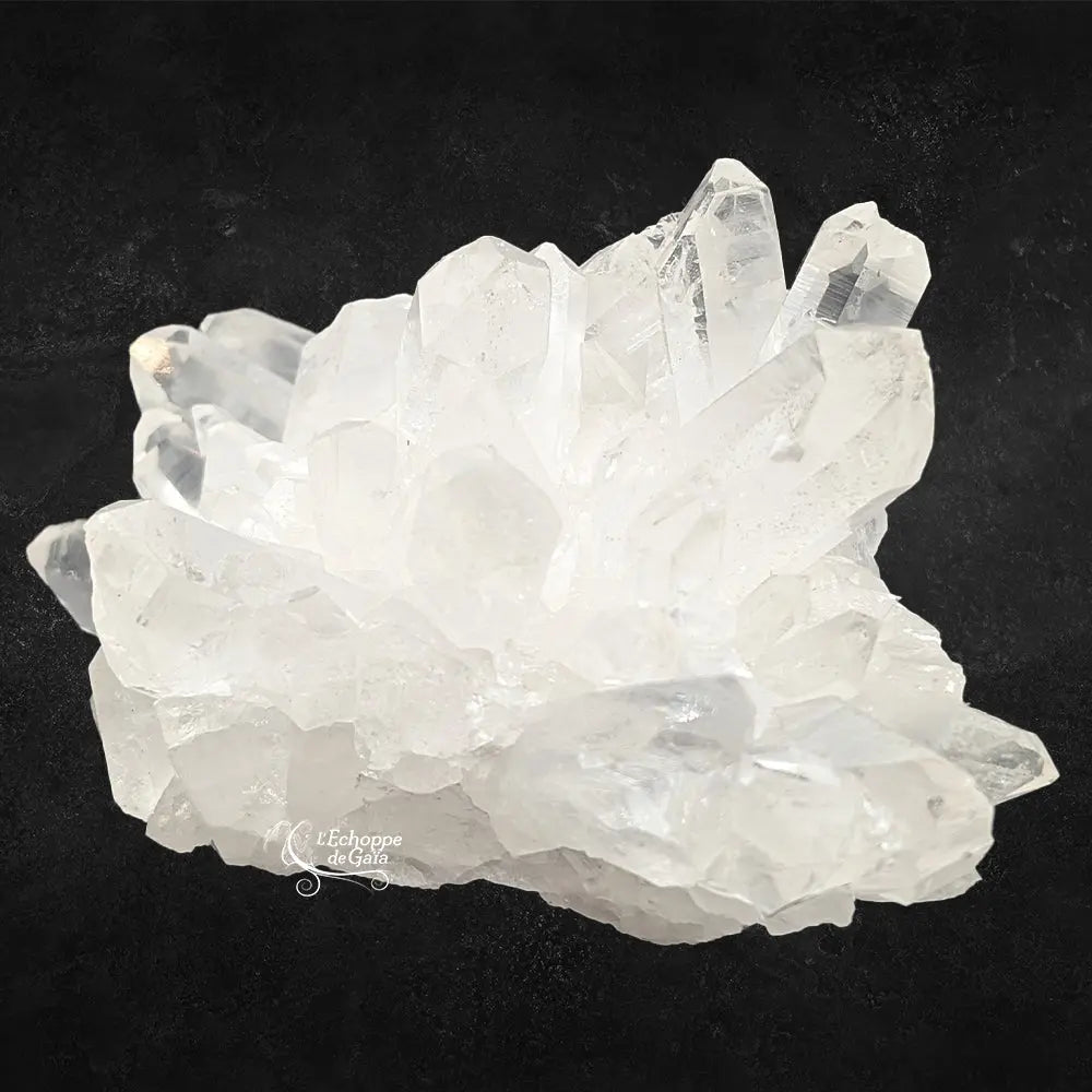Amas de cristal de roche brut à pointes multiples translucides sur un fond noir.