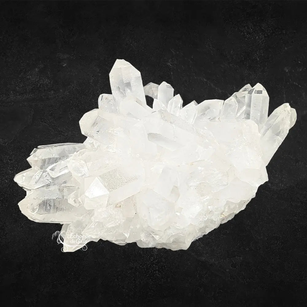 Amas de cristal de roche brut à pointes multiples translucides sur un fond noir.