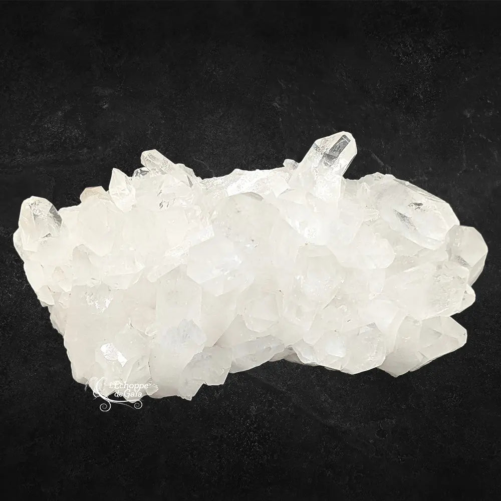Large amas de quartz cristal de roche blanc et translucide montrant de nombreuses pointes naturelles sur fond noir.