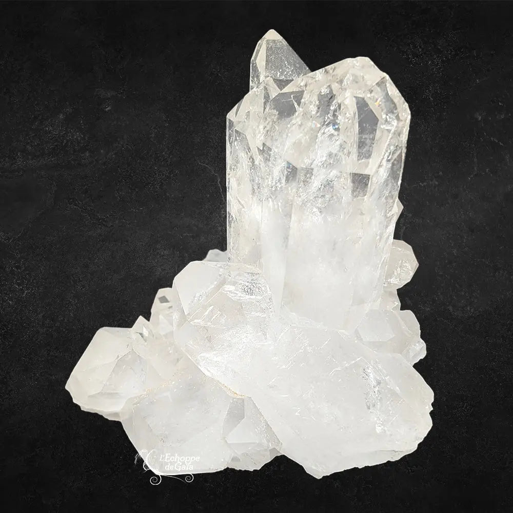 Amas de cristal de roche composé de plusieurs pointes de quartz transparentes sur un fond noir texturé.