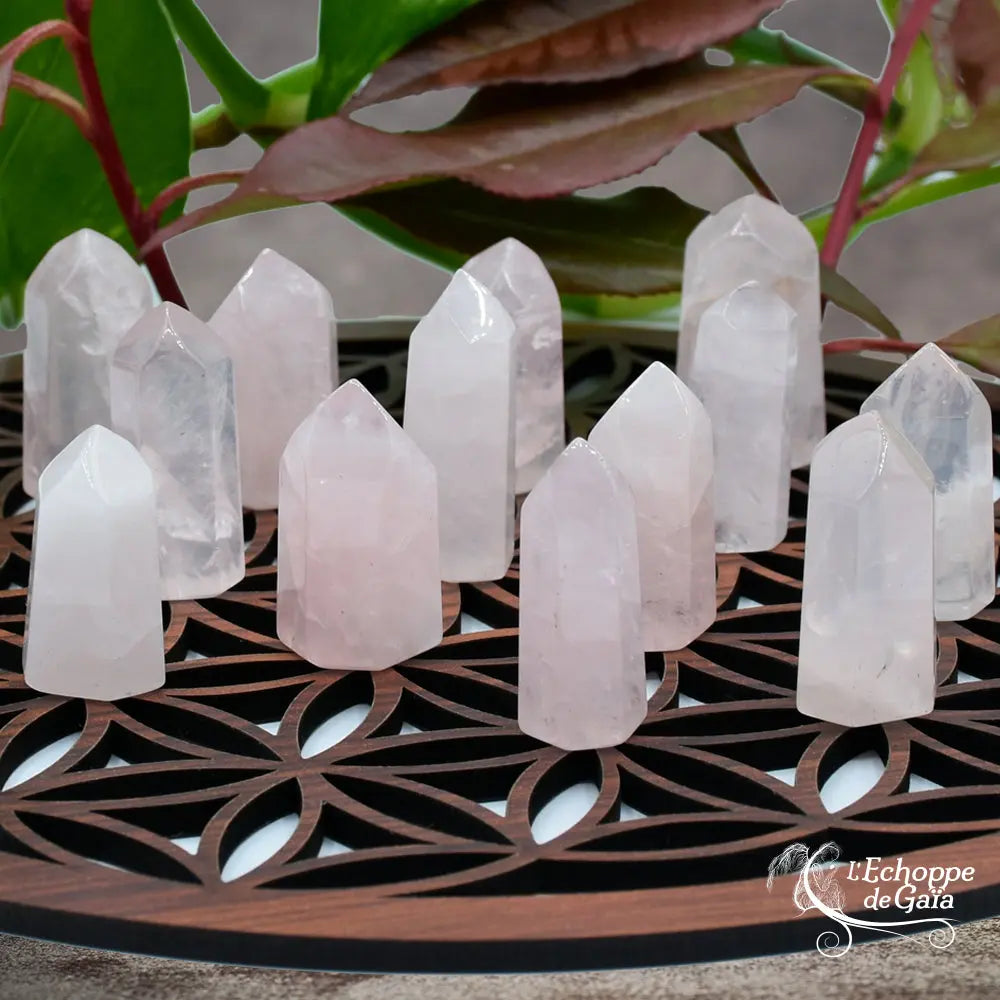 Plusieurs pointes verticales en quartz rose clair et translucide, disposées sur un support en bois sculpté représentant une Fleur de Vie, avec des feuilles végétales à l'arrière-plan.