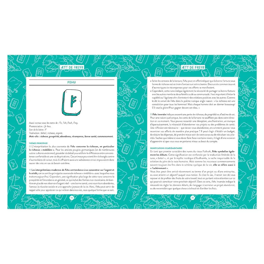 Double page du livre Runes pour débutants, fond turquoise à motifs, fiche de la rune Fehu avec illustration et pages de texte explicatif.