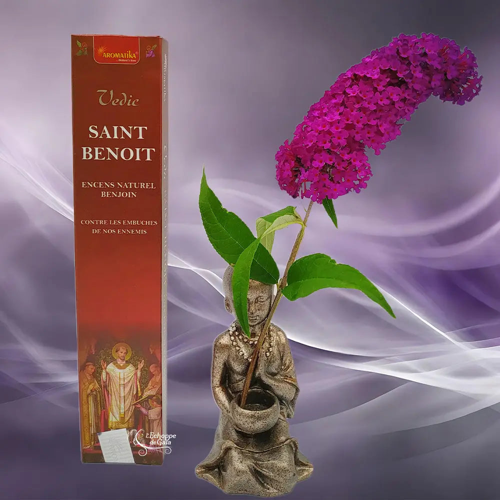 Boîte d'encens naturel Vedic Saint Benoît Benjoin rouge avec illustration du saint, statuette de moine et fleur violette sur fond mauve