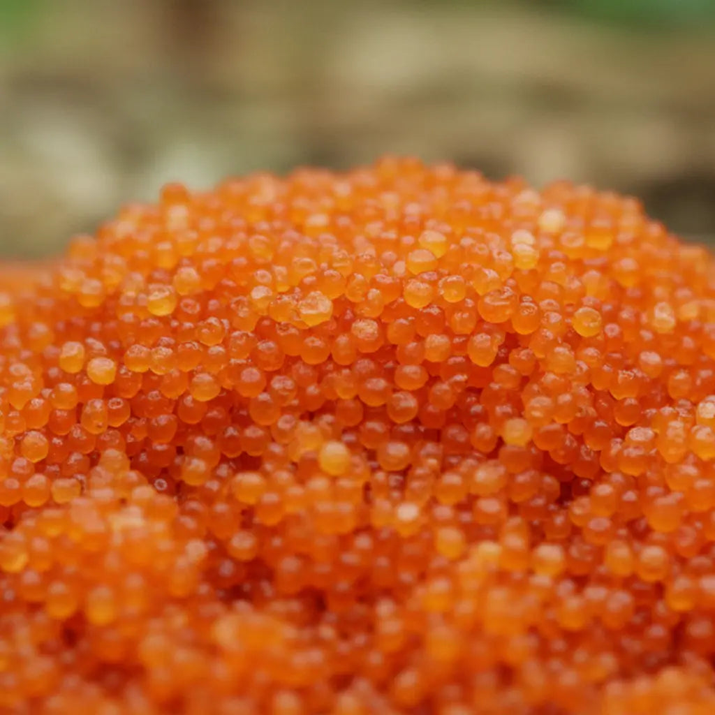 Gros plan sur des cristaux de sel infusé au Patchouli, texture cristalline orange.