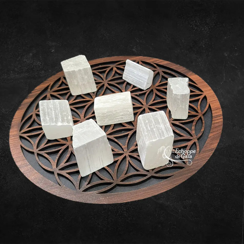 Plusieurs morceaux de sélénite brute de forme rectangulaire, d'un blanc pur et fibreux, disposés sur une fleur de vie en bois sur fond noir.