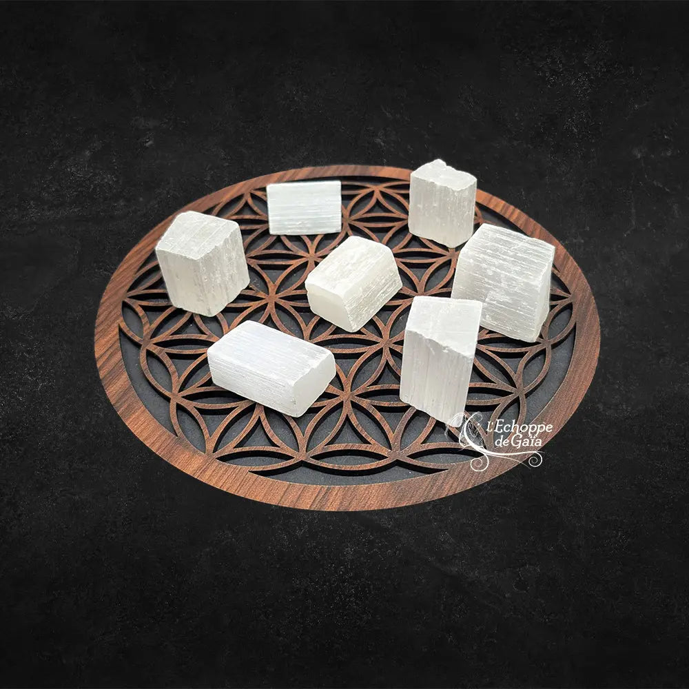 Plusieurs morceaux de sélénite brute de forme rectangulaire, d'un blanc pur et fibreux, disposés sur une fleur de vie en bois sur fond noir.