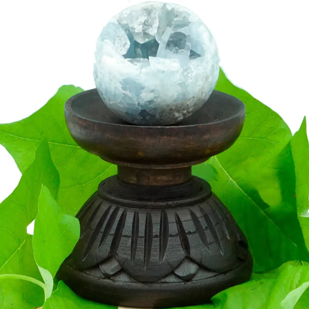Support “lotus” en bois sombre (noir/brun) photographié avec une petite boule minérale bleu pâle posée dans la coupelle supérieure. Le socle a une forme de piédestal : grande coupelle ronde en haut, col court, puis base évasée sculptée avec des motifs de pétales superposés et des stries verticales. Arrière-plan composé de grandes feuilles vert vif.