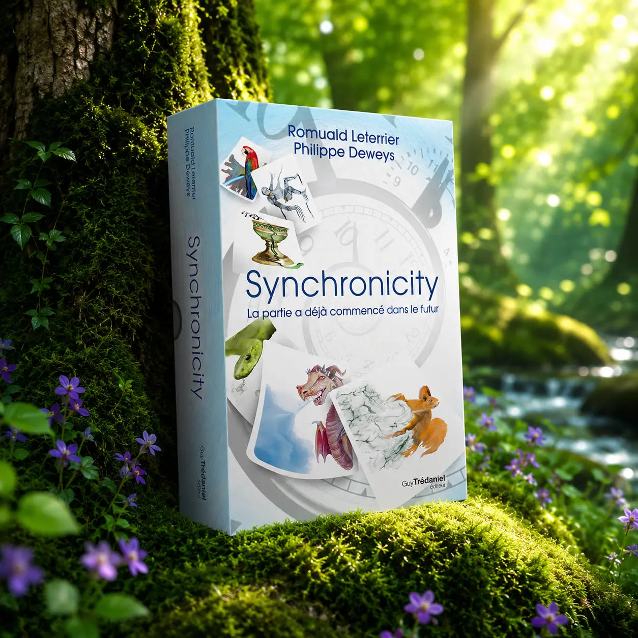 Boîte du coffret Synchronicity de Romuald Leterrier et Philippe Deweys posée sur un talus de mousse verte dans une forêt lumineuse, près d'un cours d'eau.