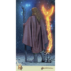 Vice Versa Tarot - Jeu 78 Cartes Guy Trédaniel Editeur