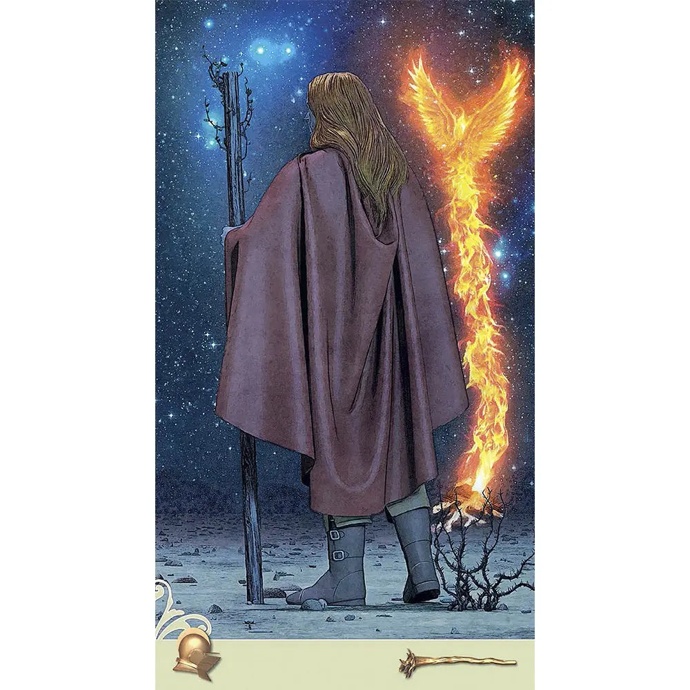 Vice Versa Tarot - Jeu 78 Cartes Guy Trédaniel Editeur